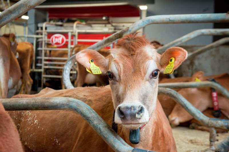 Agricultural machinery development partner